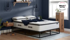 Sleepsoul Bliss 800 Pillow Top Mattress - Double